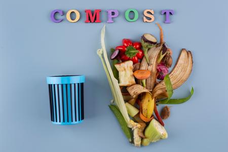 dustbin